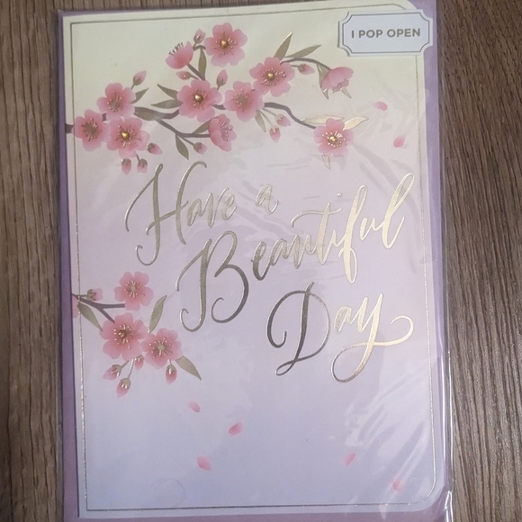 Papyrus Greeting Cards Happy Birthday Lot; 17 Assorted B-day Cards For All♀️♂️⚧️ - Picture 12 of 13